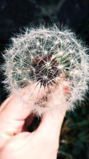 冒险岛手游官网下载截图3