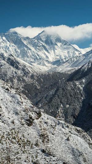 冒险岛蘑菇神社攻略截图4