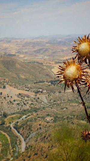 传奇新开网站截图2