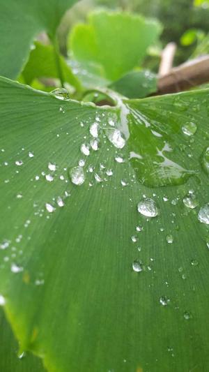 中变传奇似发服网截图3