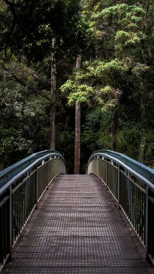 dnf剑神加点截图2