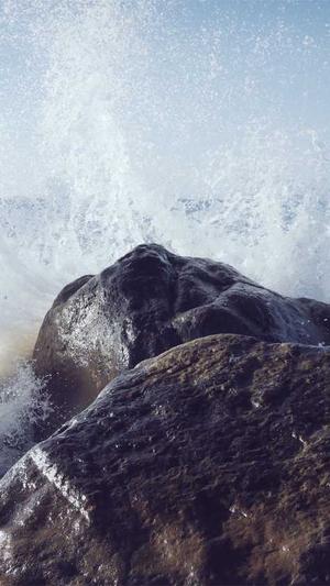 冒险岛黑骑士加点截图3