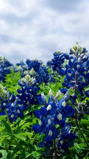 免费冒险岛截图2