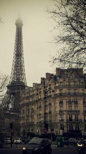 冒险岛音乐截图1