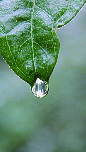 怀旧冒险岛截图3