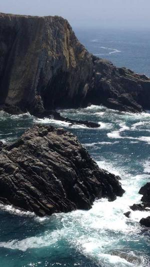 高桥名人的冒险岛4截图1