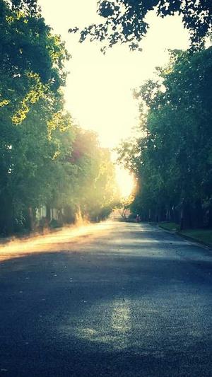 冒险岛平民怎么获得ffn截图2