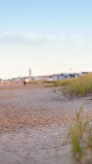 传奇私服网通专线截图4