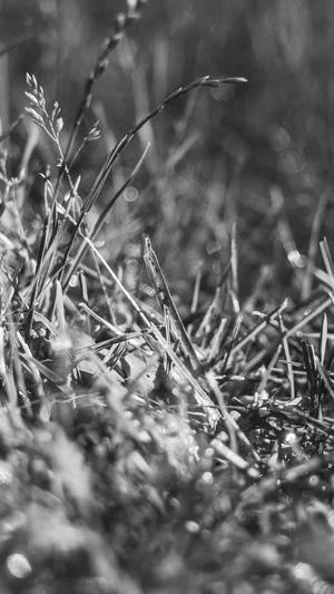 wpk解压工具下载截图4