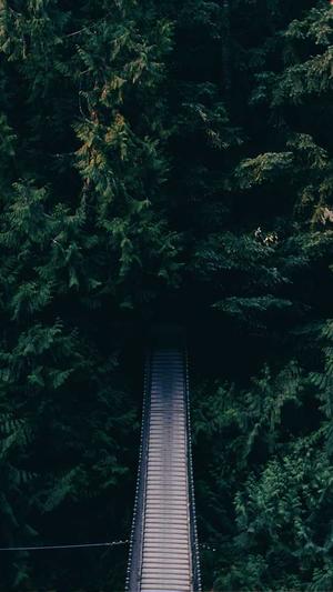 梦幻西游私服刷元宝截图1