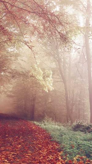 海外传奇私服截图1