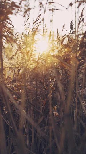 新开传奇世界截图2