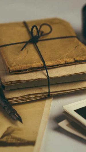 冒险岛侠盗截图3