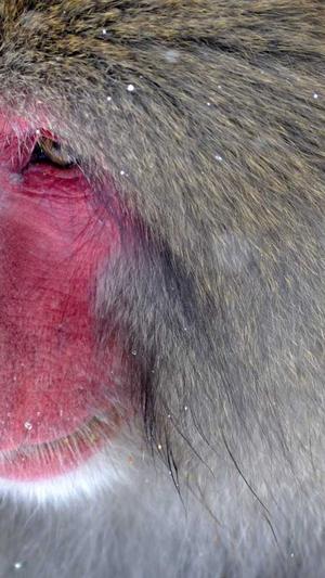 dnf5173游戏交易平台截图1