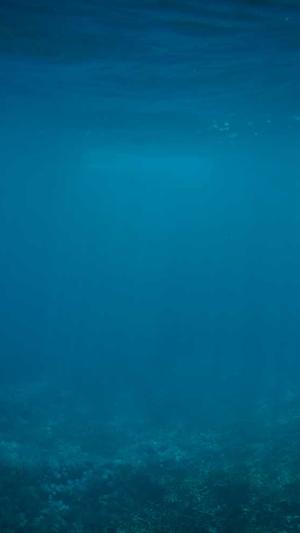 dnf结婚戒指属性截图5