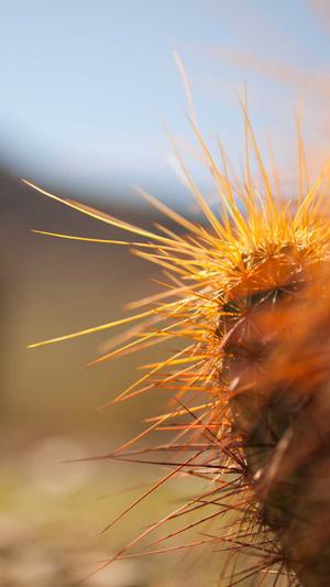 新开传奇网站截图3