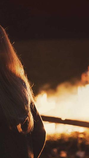 冒险岛音乐截图3