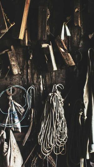 鸿门宴传奇在线观看截图2