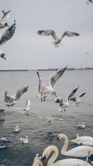 冒险岛上海怎么去截图1