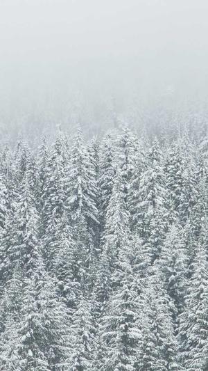 电信传奇sf发布网截图5