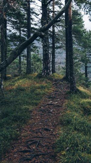 dnf次元行者刷图加点截图2