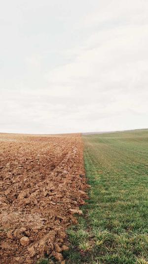 dnf二级密码截图1