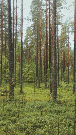 dnf账号金库升级截图1