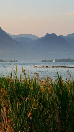 冒险岛守护天使绿水灵截图1