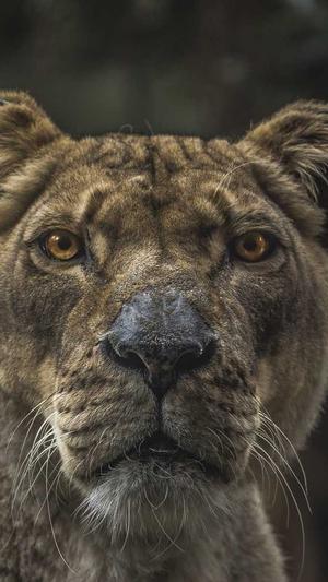 冒险岛刀飞截图3