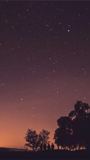 冒险岛5转流程截图3