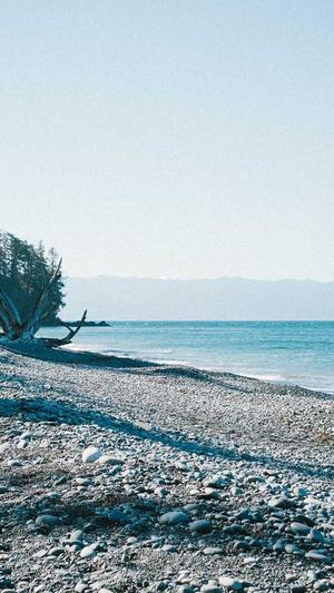 冒险岛浓姬攻略截图4