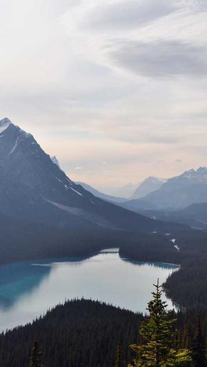 冒险岛麦吉的旧战剑截图3