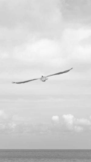 dnf强化技巧截图5