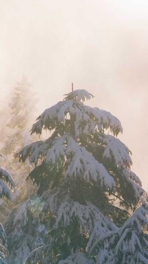 冒险岛刀飞截图5