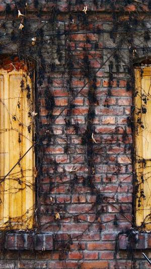 超变传奇私服截图3