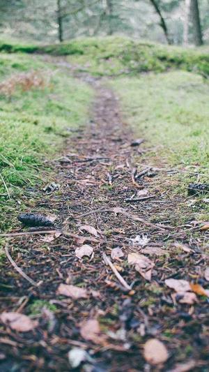 dnf遗忘之地在哪截图3