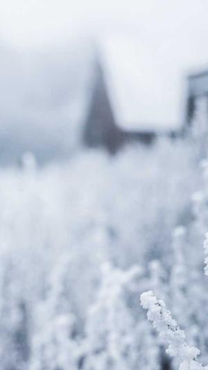 梦幻西游手游私服端截图3