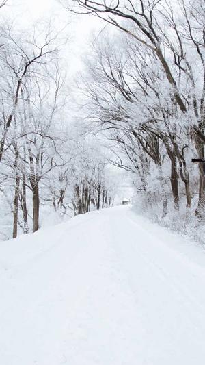 冒险岛闹钟截图2