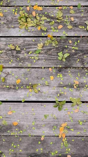 冒险岛神之子截图4