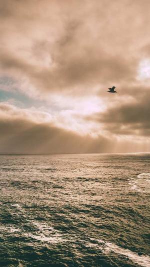 传奇新开网站截图4