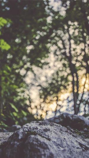 冒险岛战士二转截图5