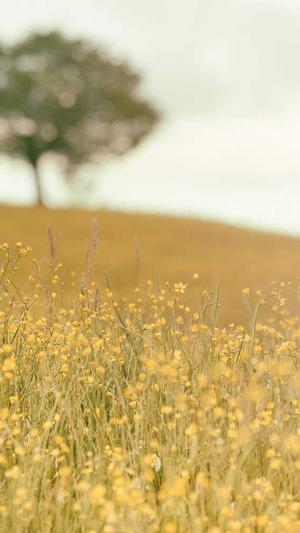 冒险岛战士截图1