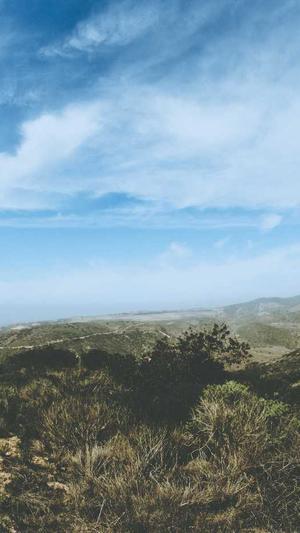 冒险岛月妙任务截图1