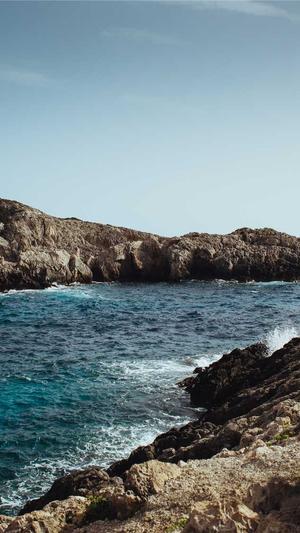 dnf宠物胶囊截图2