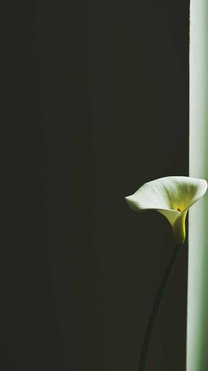 冒险岛link截图2