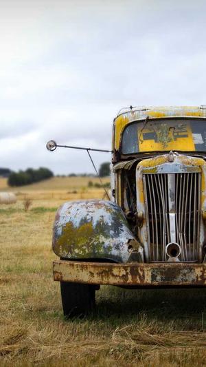 冒险岛奇怪的猪猪截图1