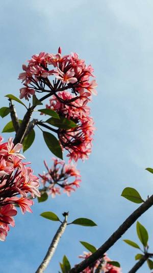 冒险岛满钱是多少截图4