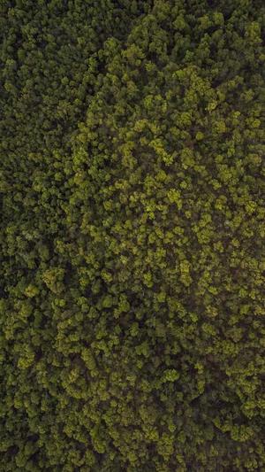 热血传奇1.76截图5