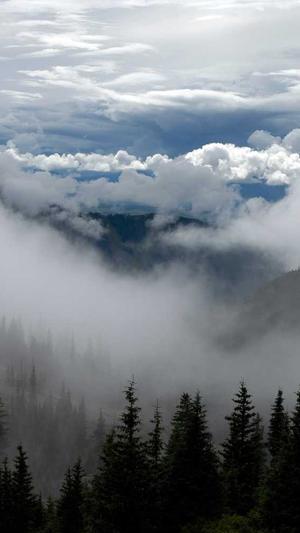 dnf成长契约截图4