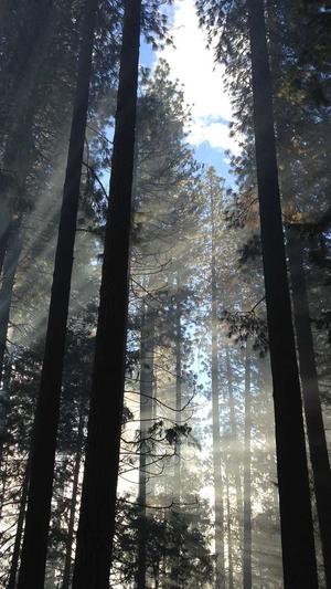 dnf魔剑阿波菲斯截图3